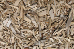 biomass boilers North Moulsecoomb